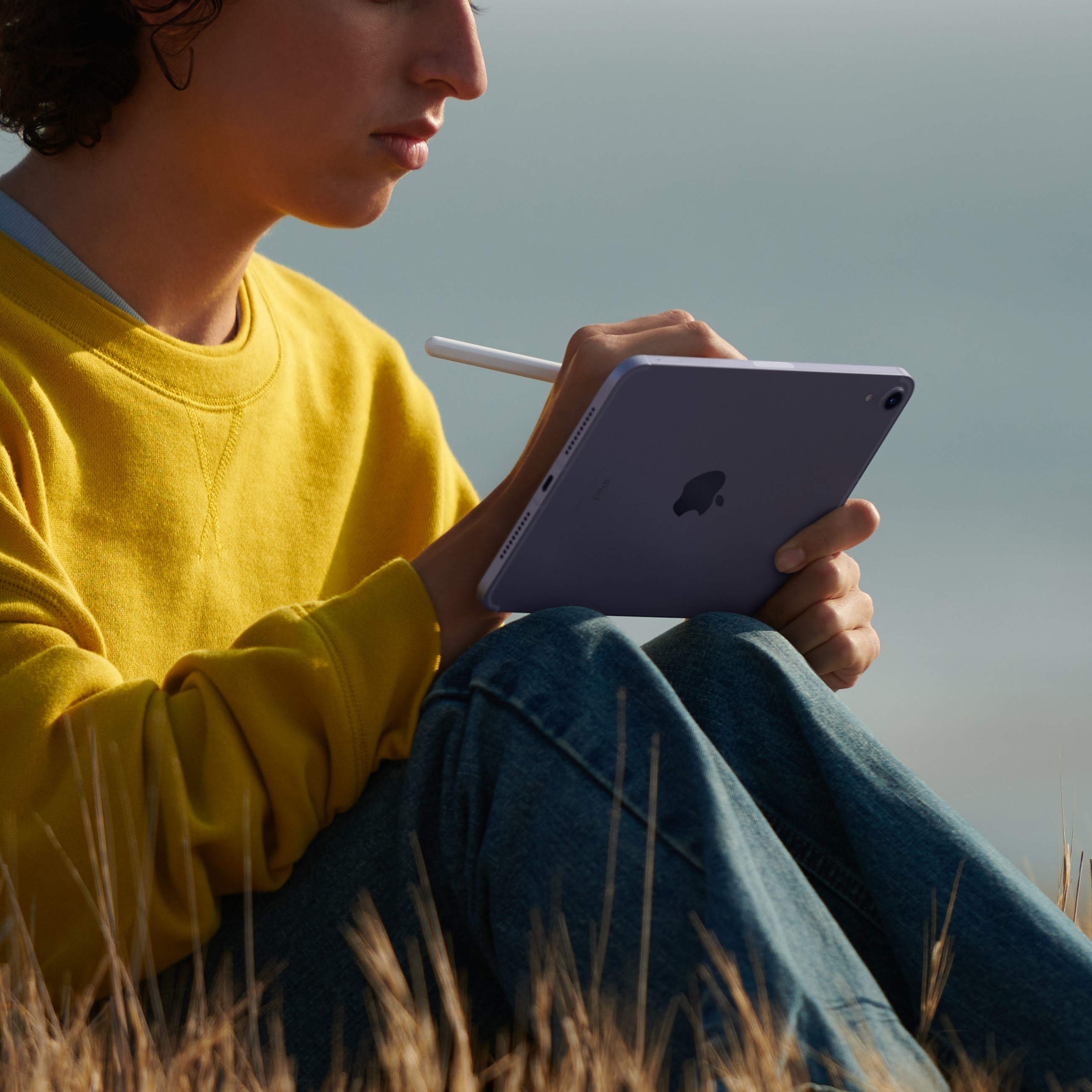 Apple iPad mini 5G TD-LTE & FDD-LTE 256 GB 21,1 cm (8.3 Zoll) Wi-Fi 6 (802.11ax) iPadOS 15 Grau