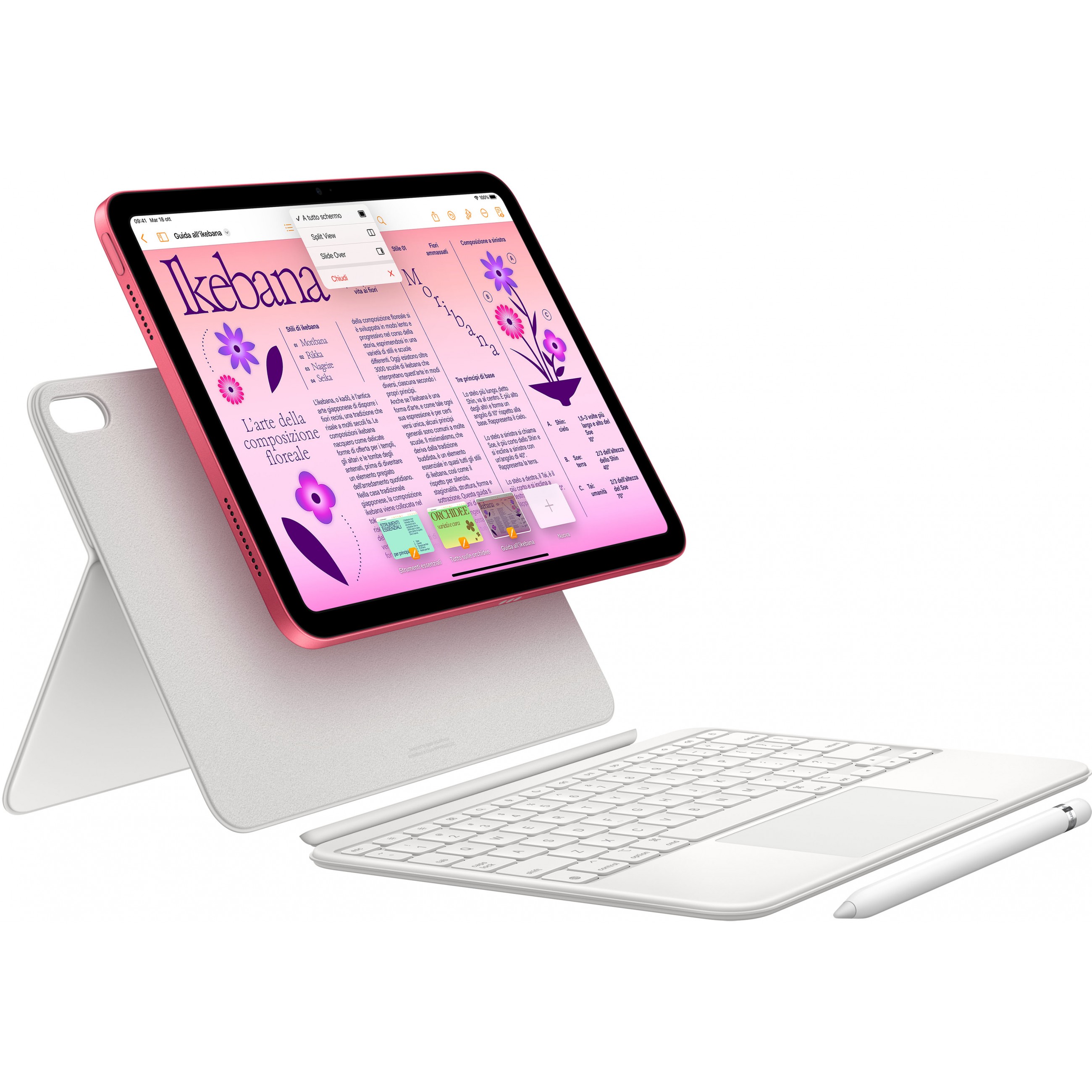 Apple iPad 256 GB 27,7 cm (10.9 Zoll) Wi-Fi 6 (802.11ax) iPadOS 16 Pink